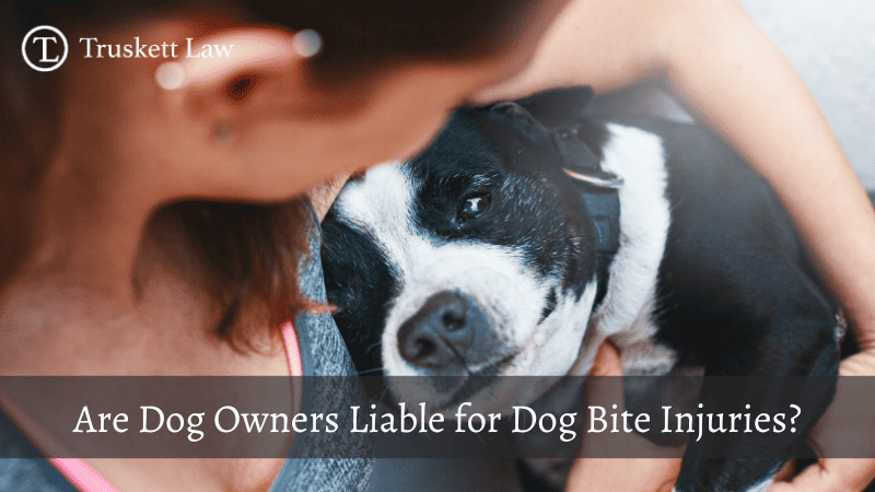 Tulsa Dog Bite Lawyer