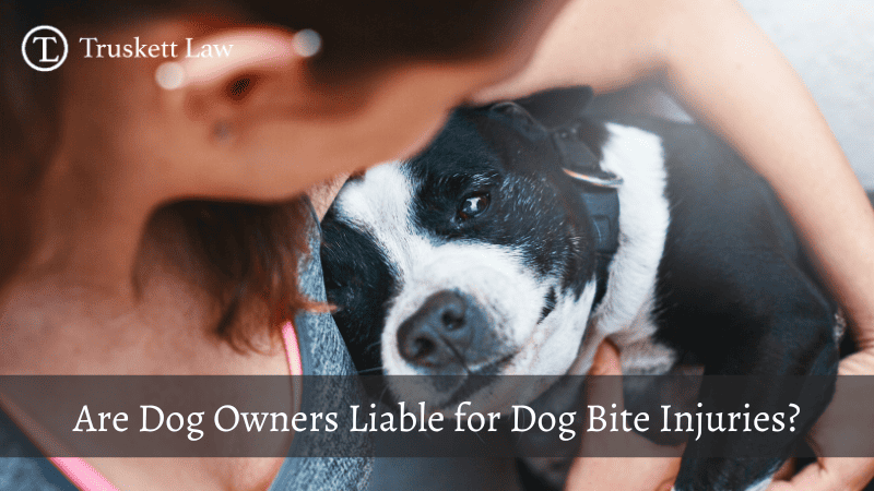 Dog Bite Lawyer in Tulsa - Truskett Law Tulsa Dog Bite Lawyer
